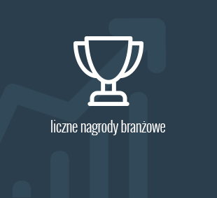 liczne nagrony branżowe